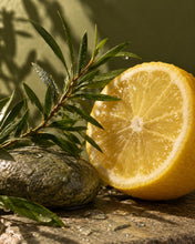 Load image into Gallery viewer, Tea Tree & Lemon Shampoo