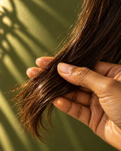 Load image into Gallery viewer, 100% Pure Argan Oil
