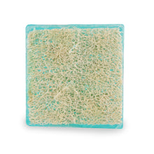 Load image into Gallery viewer, Loofah Bar 5.0oz — Sea Mineral
