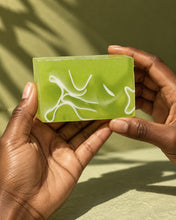 Load image into Gallery viewer, Bar Soap — Avocado Lime Wheatgrass Detox
