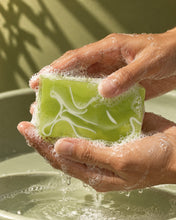 Load image into Gallery viewer, Bar Soap — Avocado Lime Wheatgrass Detox
