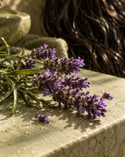 Load image into Gallery viewer, Lavender Shampoo
