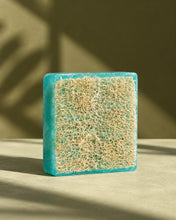 Load image into Gallery viewer, Loofah Bar 5.0oz — Sea Mineral
