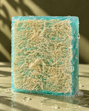 Load image into Gallery viewer, Loofah Bar 5.0oz — Sea Mineral
