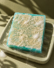 Load image into Gallery viewer, Loofah Bar 5.0oz — Sea Mineral

